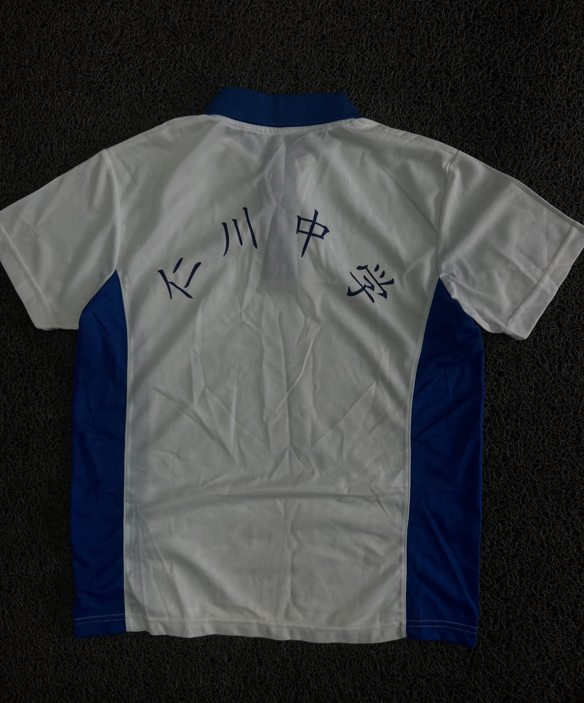 White & Blue Contrast Panel Polo T-Shirt with School Logo – Short Sleeve