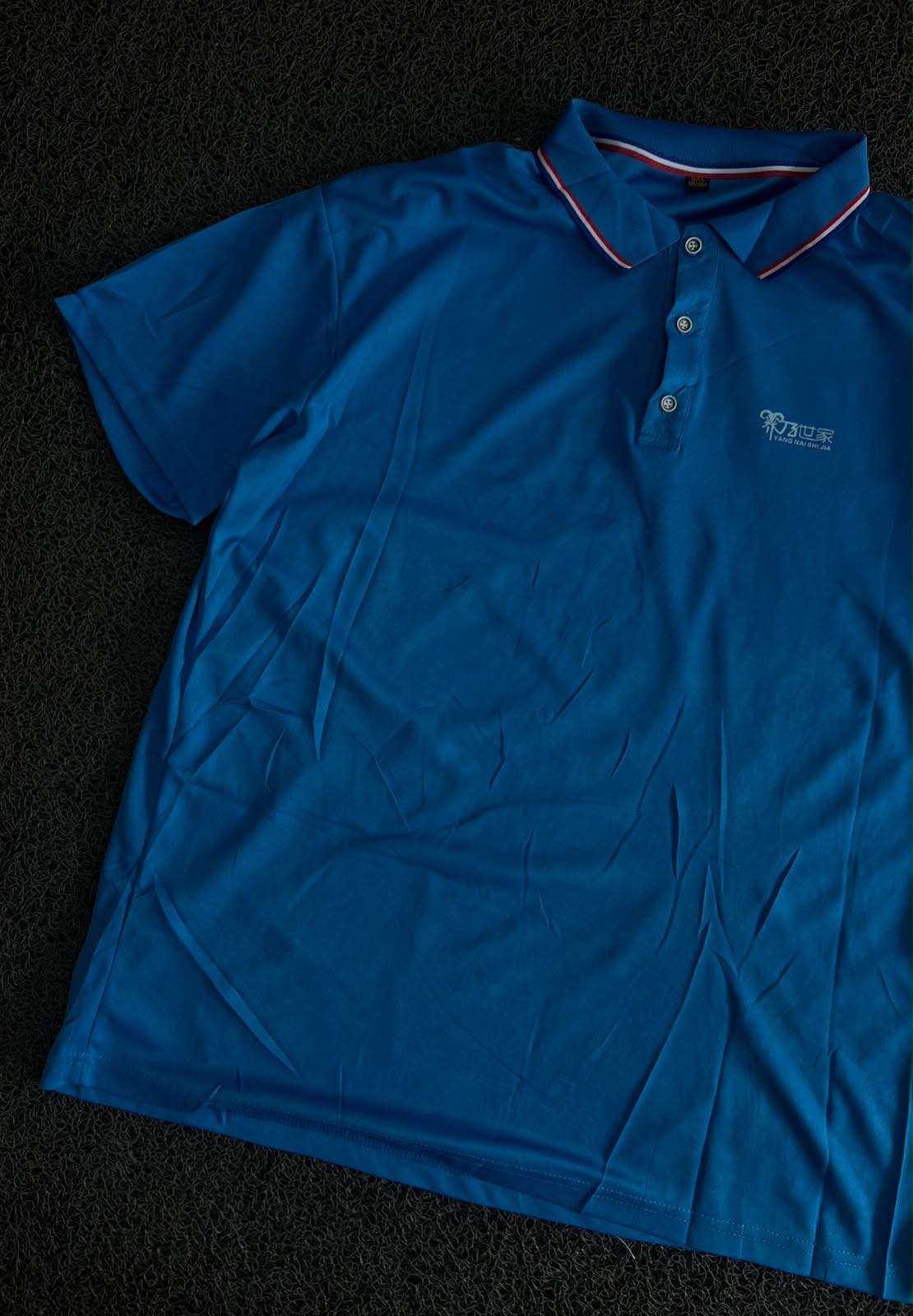 Blue Contrast Collar Polo T-Shirt