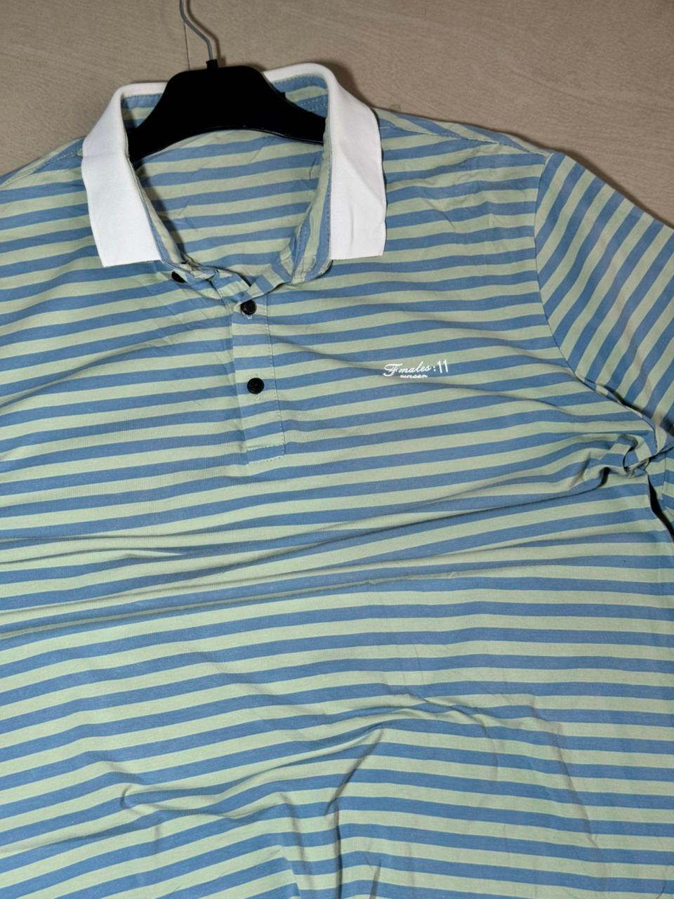 Vintage Blue & Mint Striped Polo T-Shirt