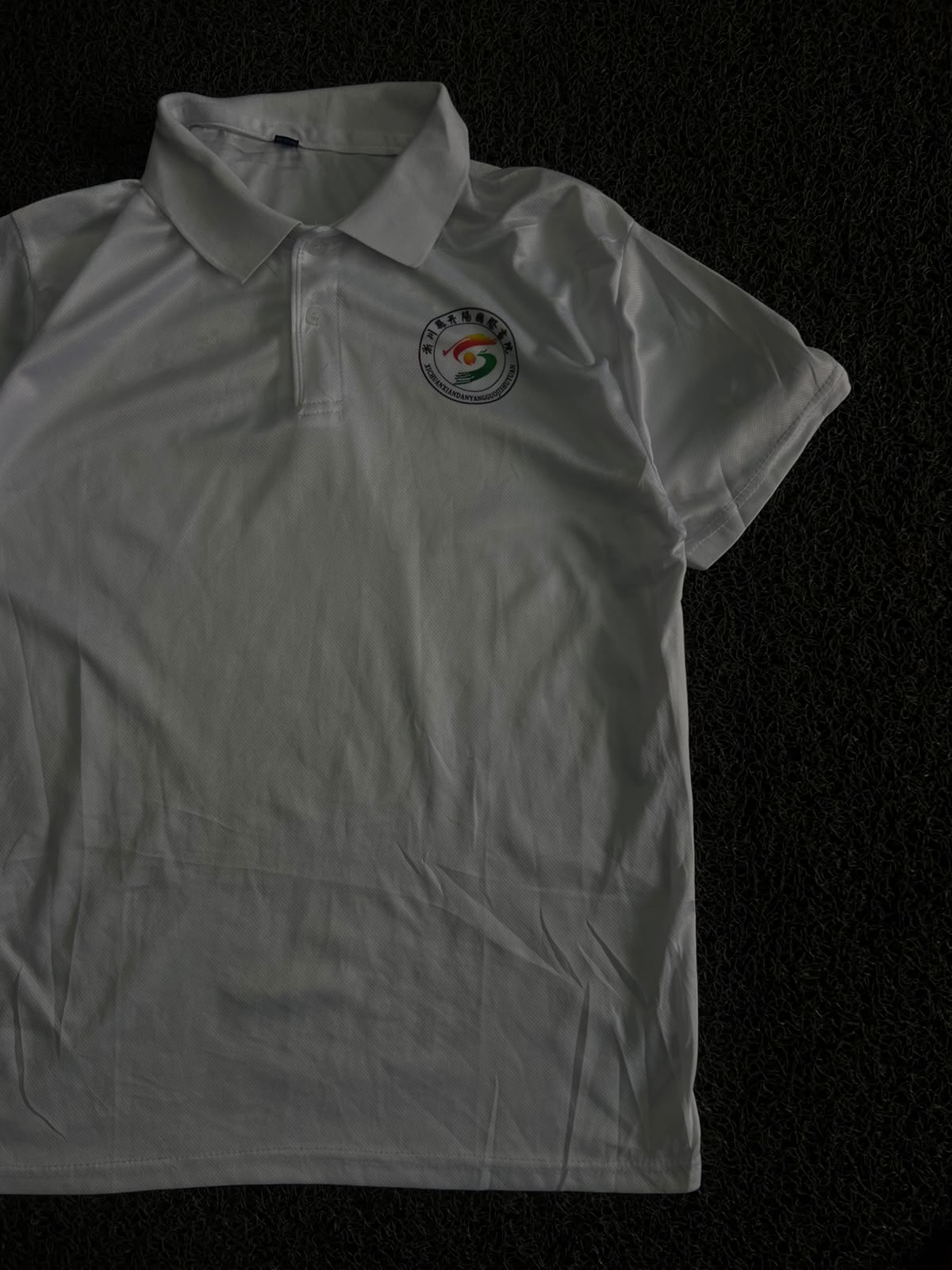White Solid Polo T-Shirt with Logo and chinese back print