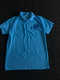 Vintage Blue Chinese Graphic Polo T-Shirt