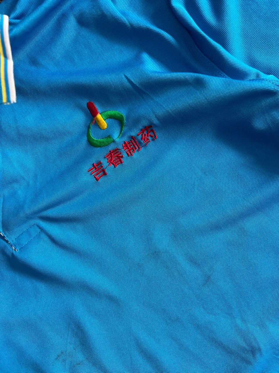 Blue Embroidered Logo Polo T-Shirt