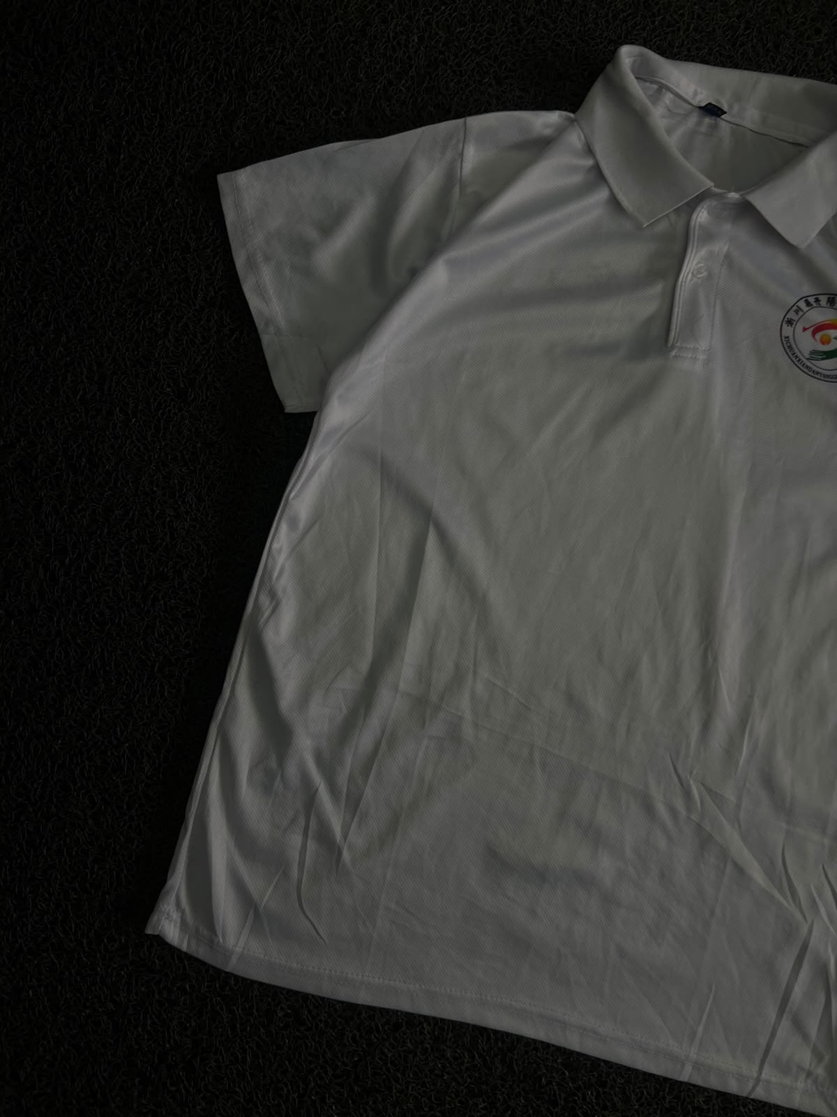 White Solid Polo T-Shirt with Logo and chinese back print