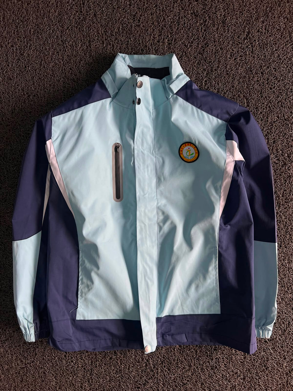 Men's Colorblock Hooded Windbreaker Jacket