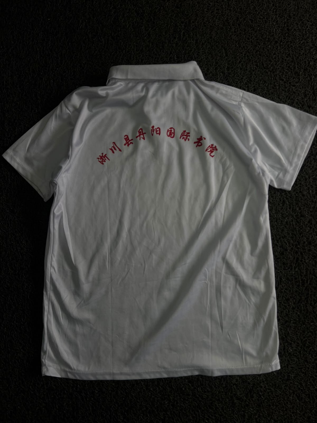 White Solid Polo T-Shirt with Logo and chinese back print
