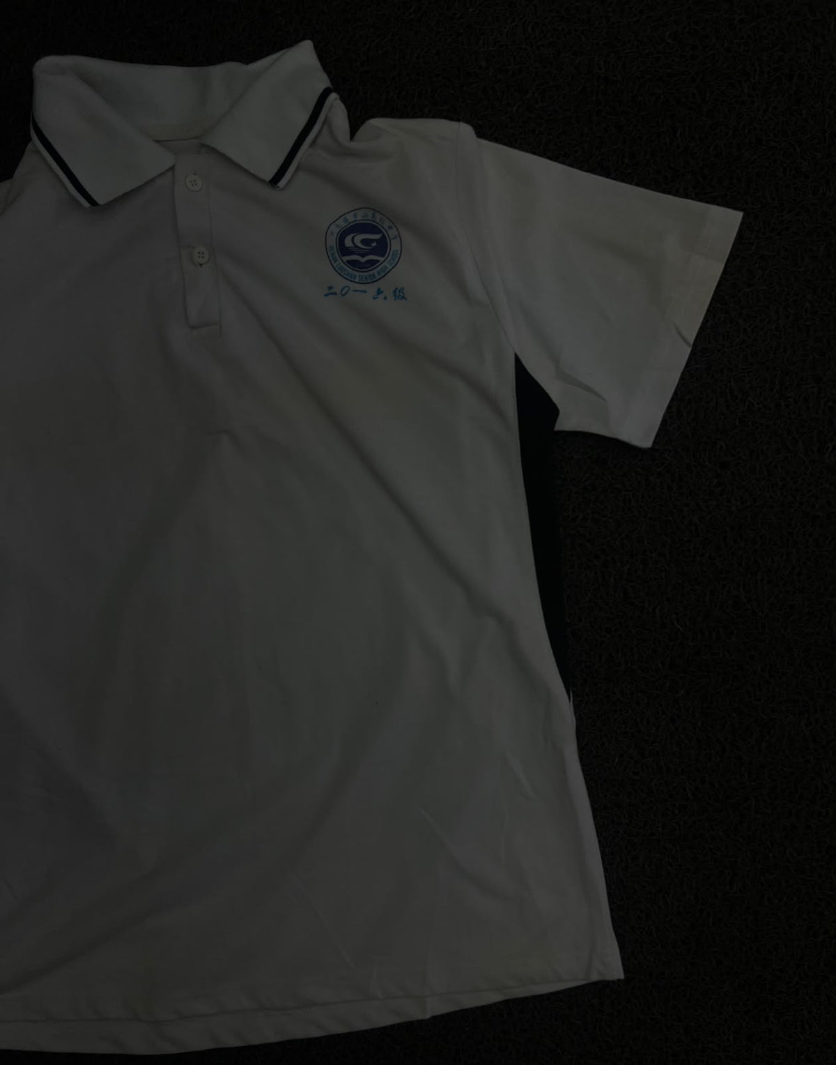Polo T-Shirt with Logo & Contrast Collar – Short Sleeve – ⚠️ Small Stain